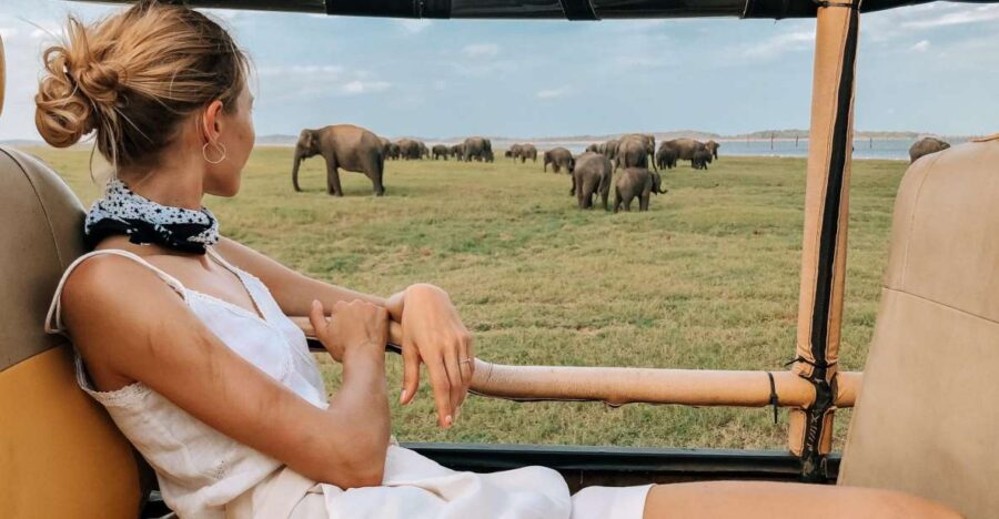 From Hikkaduwa/Galle/Weligama/Mirissa: Udawalawe Safari Tour