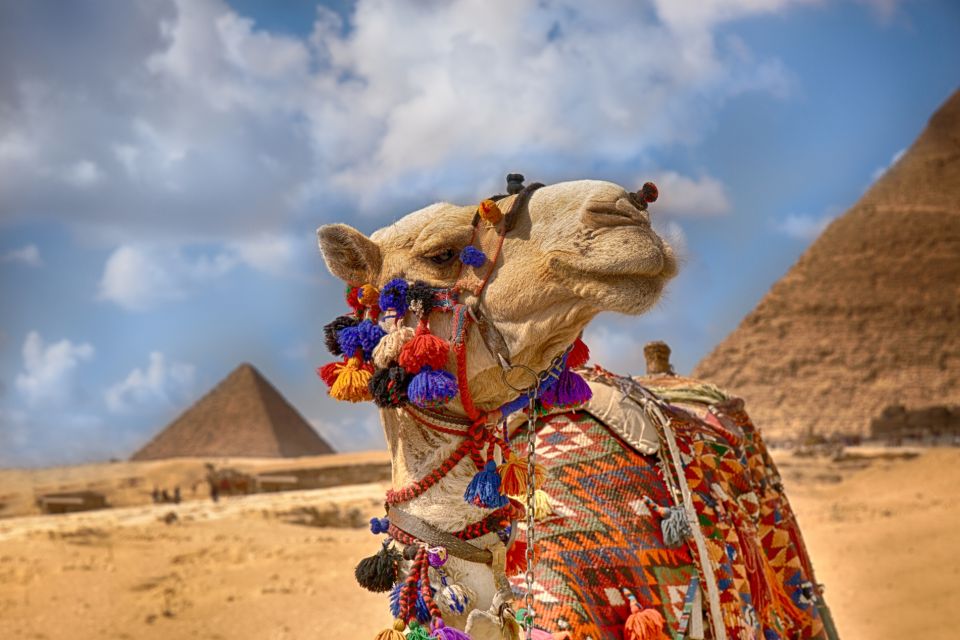 From Hurghada: Cairo Pyramids & Museum Tour With Nile Cruise - Tour Overview and Pricing