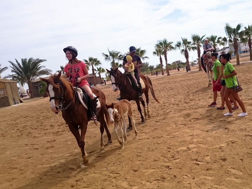 From Hurghada: Makadi Bay Horse Riding Tour - Tour Overview and Pricing