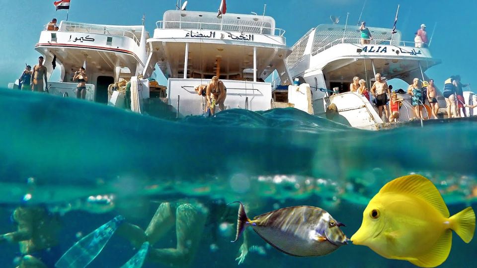 From Hurghada: Scuba Diving With Expert Guide & 2 Dives - Scuba Diving Experience