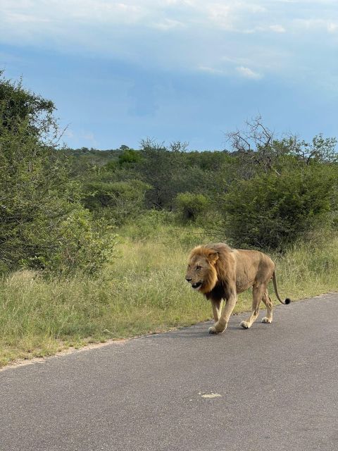 From Johannesburg : 3 Day Kruger National Park BIG 5 Safari - Itinerary Details