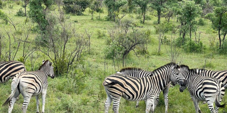 2 Best 3 Day Tours In Pilgrim S Rest South Africa
