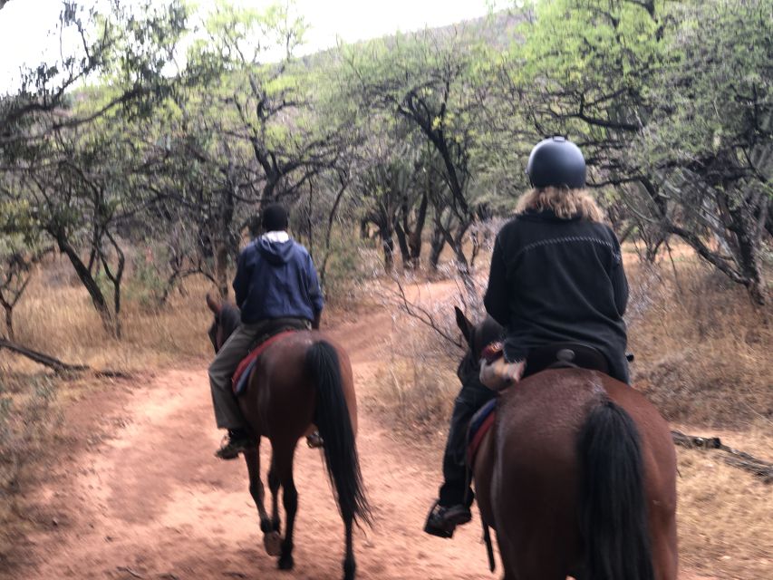 From Johannesburg: Horse-Riding Safari and Cable Car Tour - Tour Overview