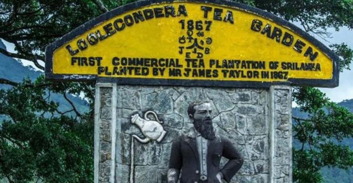 From Kandy: James Taylor's Tea Tour (The Tale of Ceylon Tea) - Tour Overview and Pricing