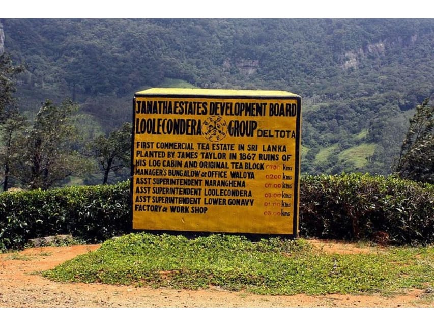 From Kandy: James Taylor’s Tea Tour (The Tale of Ceylon Tea)