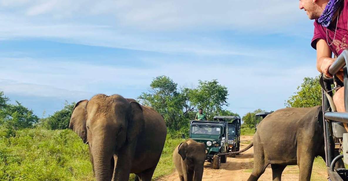 From Kandy: Sigiriya/Dambulla and Minneriya Park Safari - Tour Overview