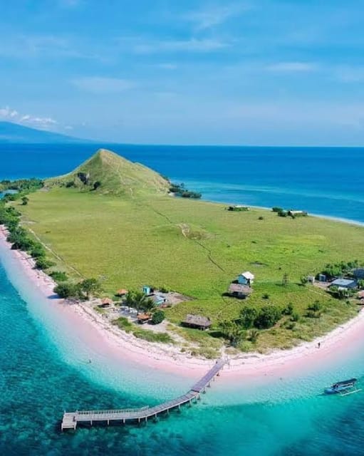 From Lombok,Sumbawa Whale Shark Tour 2D1N
