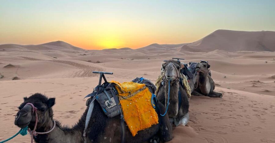 From Marrakech: 2-Day Sahara Desert Tour With Camel Ride