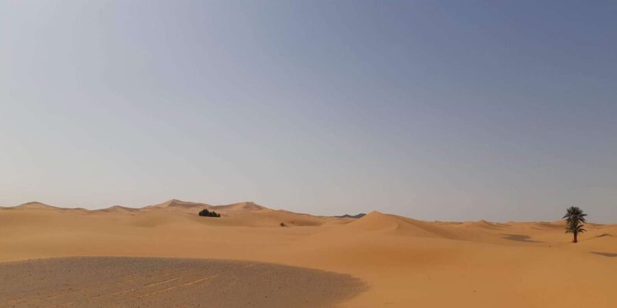 From Marrakech: 3-Day Desert Tour With Camel Ride