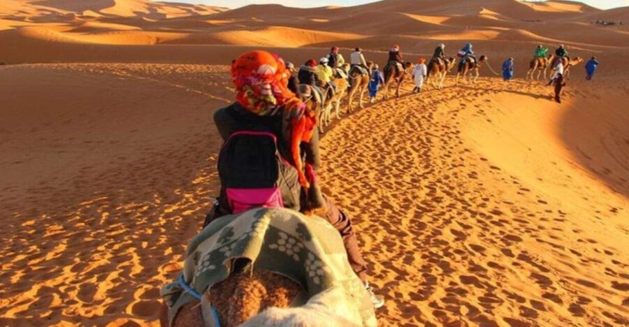 3 Best Food Tours In Ouarzazate