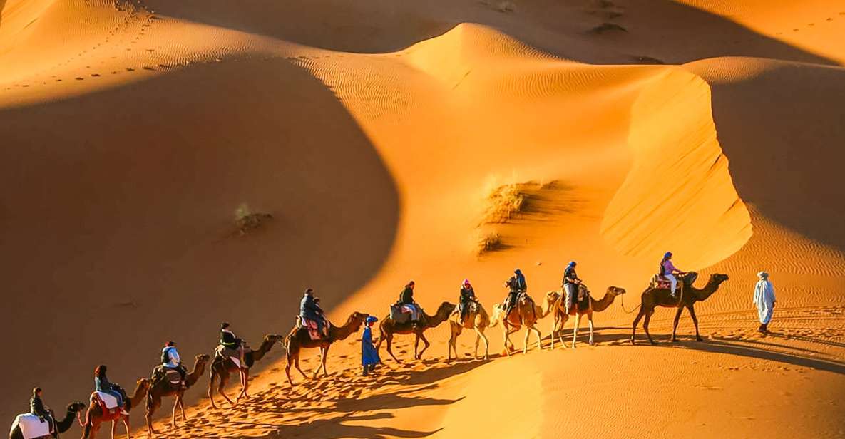 From Marrakech 3-Day Sahara Desert Trip to Merzouga | Travel Buddies