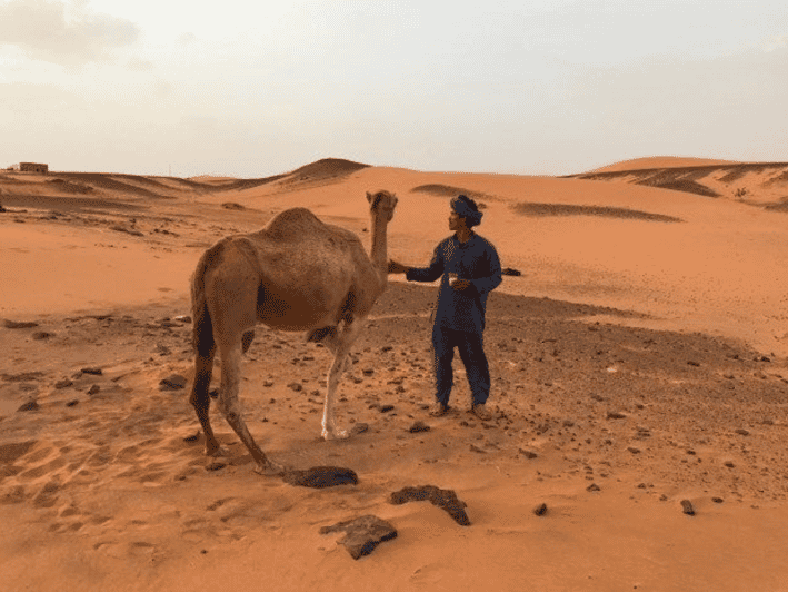 From Marrakech: Magical 3 Day Merzouga Dune Trip to Fes