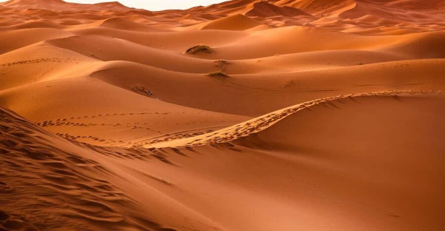 From Marrakech: Merzouga 4-Day Desert Tour & Trekking - Tour Overview and Pricing
