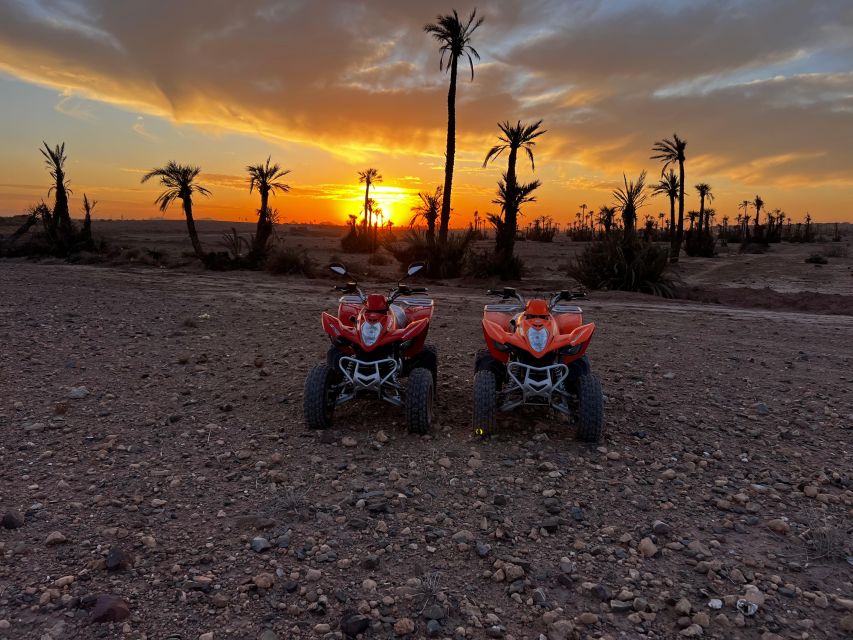 3 Best 2 Hour Tours and Experiences in Morocco