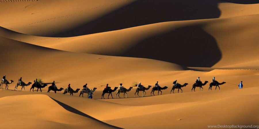 From Marrakesh: 4D3N Merzouga Desert and Fes Tour