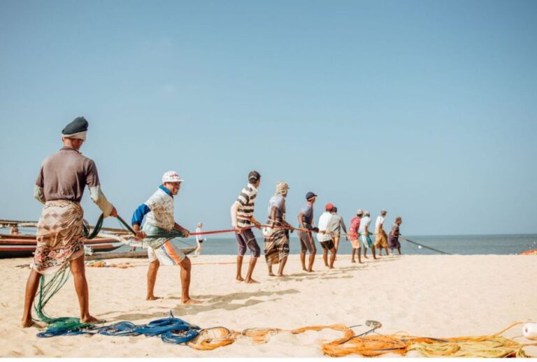 From Negombo: Lagoon Serenity: Dutch Canal Magic