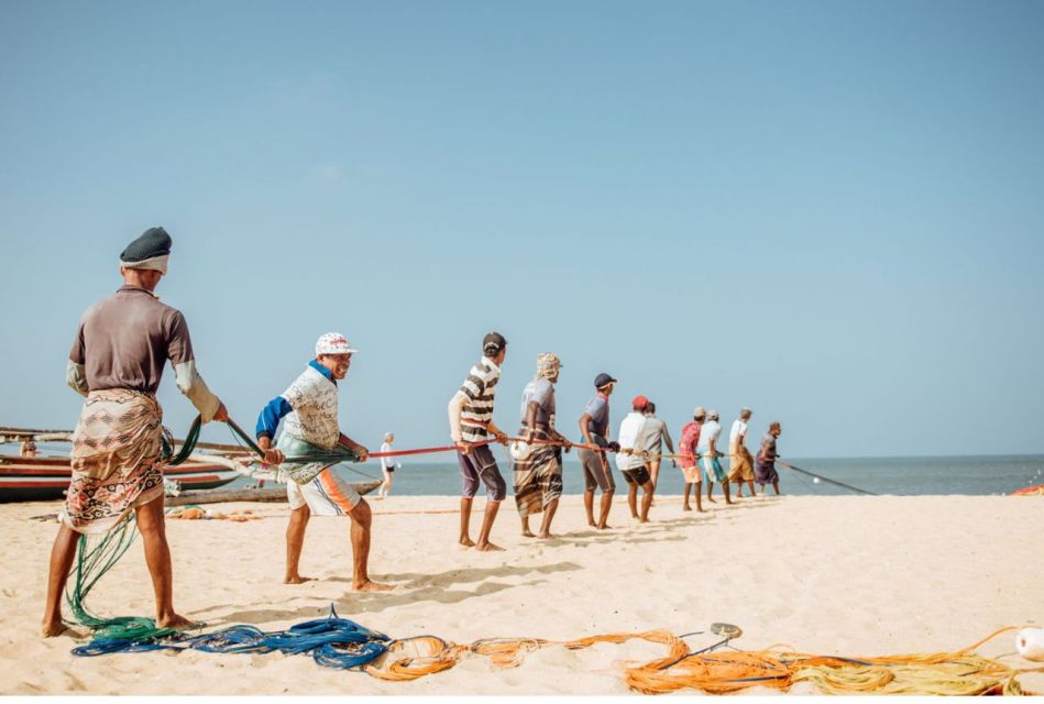 From Negombo: Lagoon Serenity: Dutch Canal Magic - Tour Overview