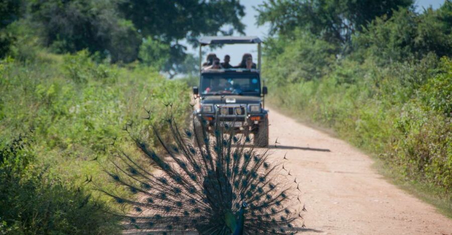 9 Best National Park Tours In Negombo