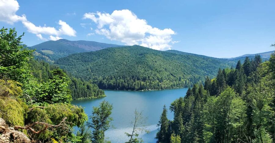 From Oradea: Mountain Bike Around Lake Dragan - Overview of the Tour