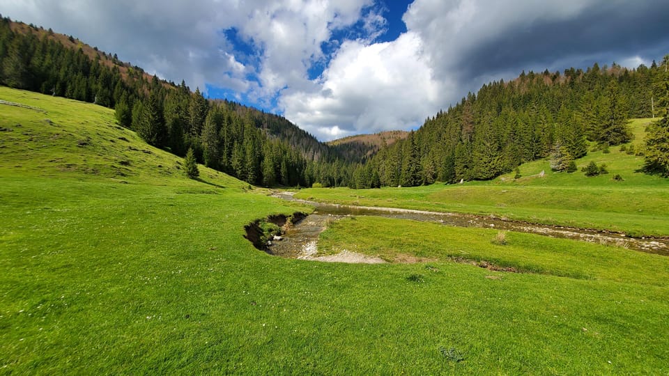 From Oradea:Carpathian Mountains Guided Scenic Hike - Activity Overview