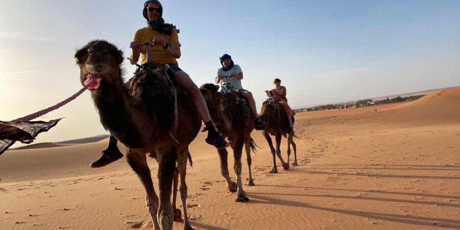 From Ouarzazate: 3 Days Tour Though Merzouga & Dades