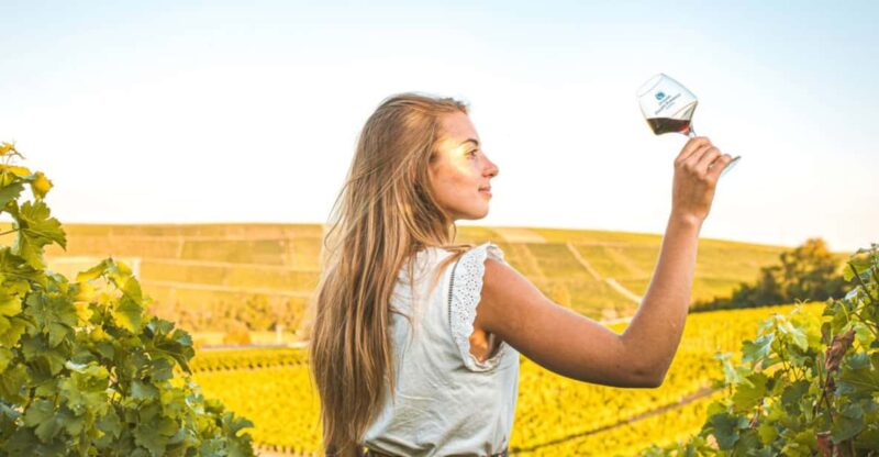 From Paris: Private Sancerre Wine Tour W 10 Tastings & Lunch - Experience and Engagement