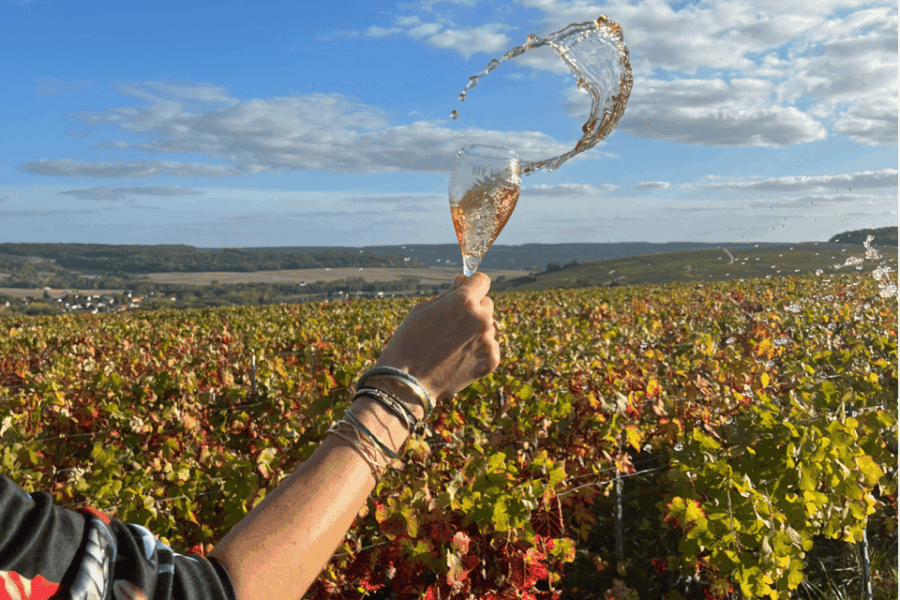 From Paris: Private Sancerre Wine Tour W 10 Tastings & Lunch