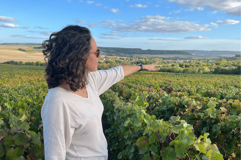 From Paris: Wine Day Trip to SANCERRE W 10 Tastings & Lunch - Included Services