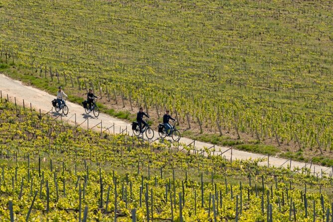From Reims Afternoon E-Bike Tour, Visit and Champagne Tastings