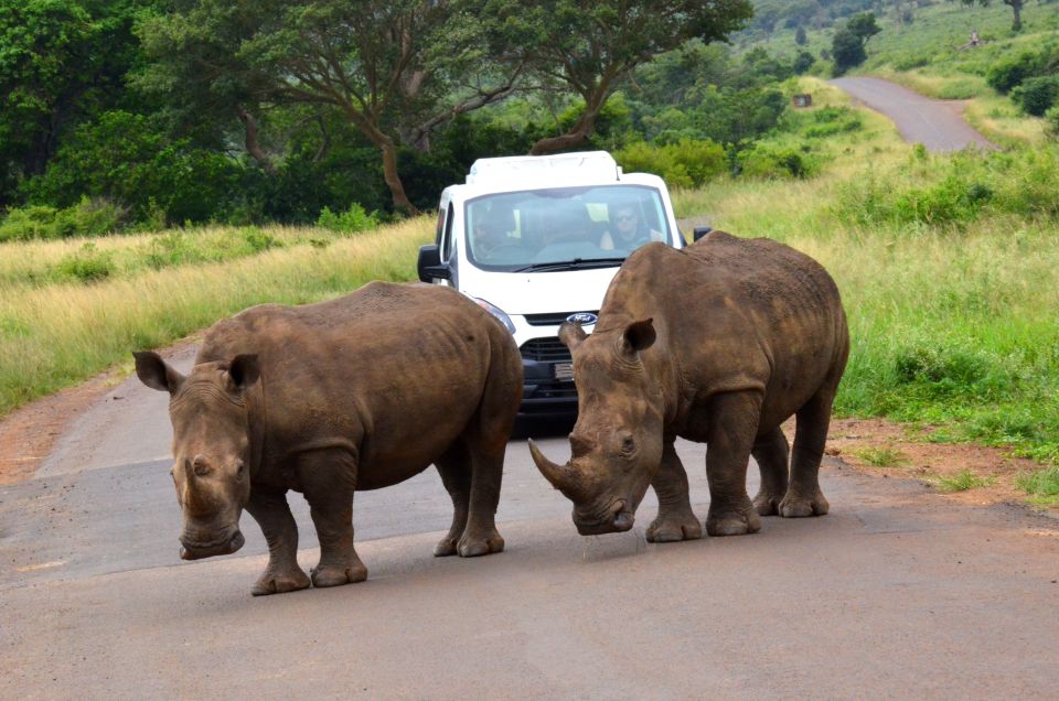 From Richards Bay: Hluhluwe Imfolozi Game Reserve Day Trip - Navigating the Game Reserves Terrain