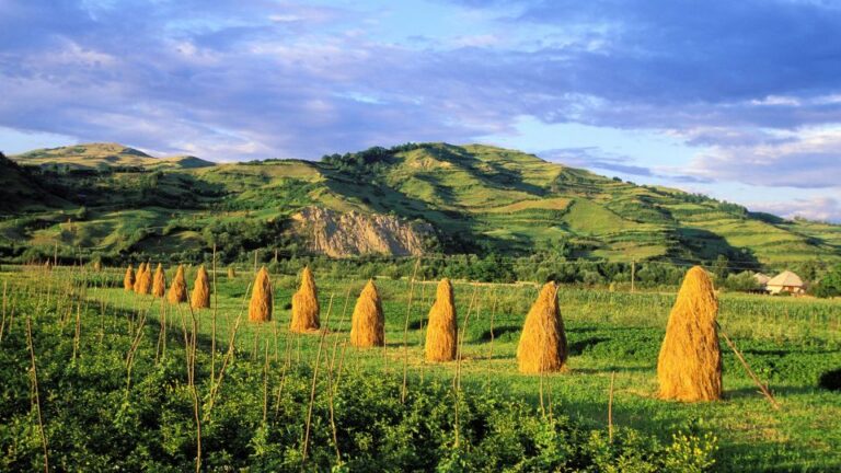 From Sighetu Marmatiei: Maramures and Barsana Monastery Tour