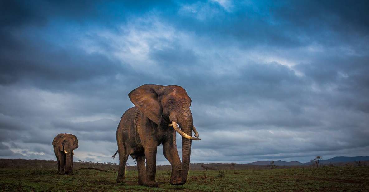 From St Lucia: Isimangaliso Sunset Safari - Sunset Jeep Tour Overview