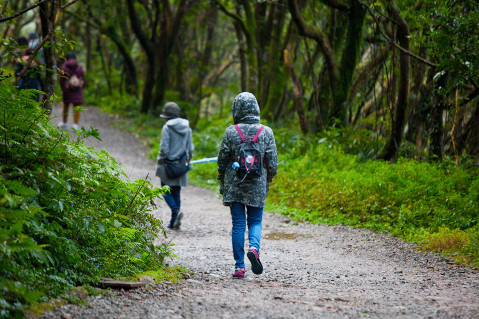 From Taipei : Yangmingshan, Yehliu, Jiufen, Shifen Day Tour - Yangmingshan National Park