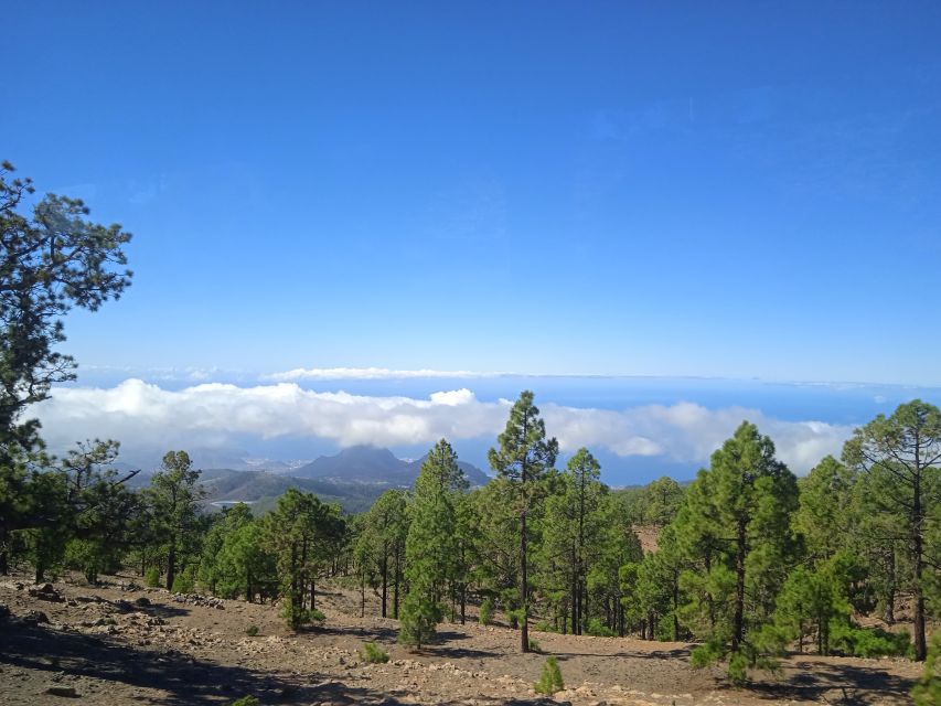 From Tenerife: Teide National Park Guided Day Trip by Bus - Highlights of the Experience