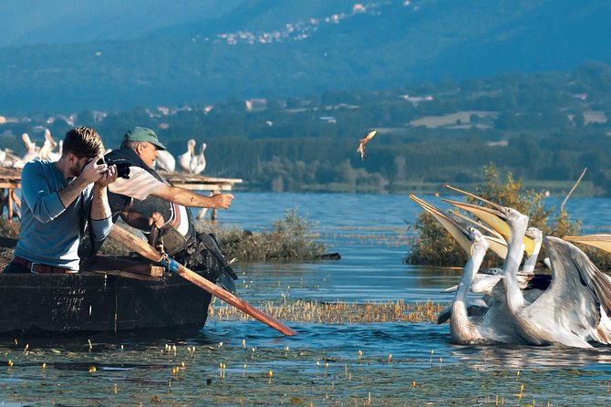 From Thessaloniki: Private Day Trip to Kerkini Lake