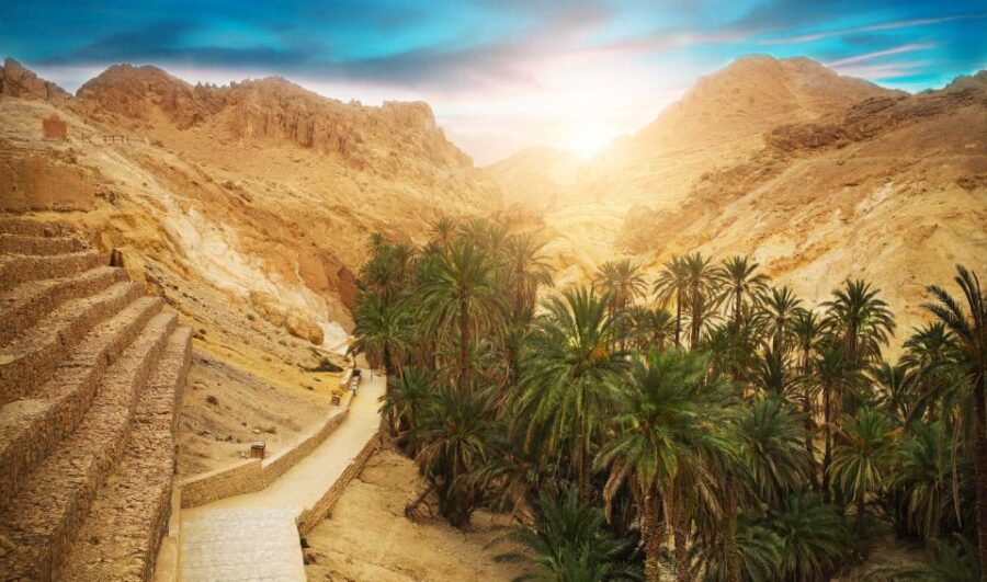 6 Best Tours In Tozeur