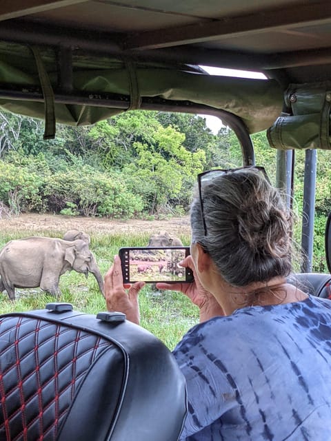 From Udawalawa - Udawalawa National Park Safari Tour - Tour Overview and Pricing