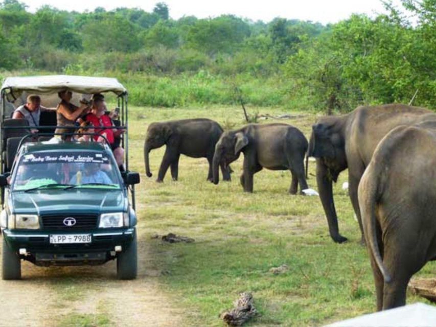 From Udawalawe: Safari at Udawalawe National Park
