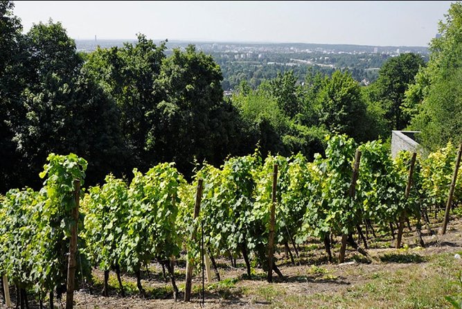 From Victoria to Cowichan Wine 6-Hour Guided Tour