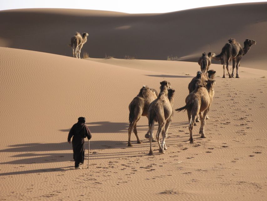From Zagora: 2-Day Desert Tour to Erg Chegaga