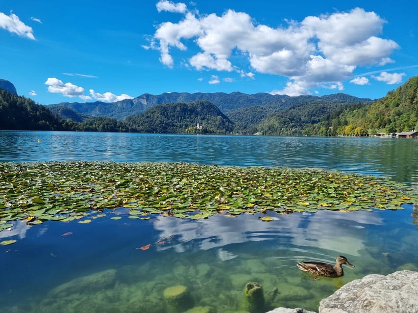From Zagreb: Highlights Day Tour to Bled and Ljubljana