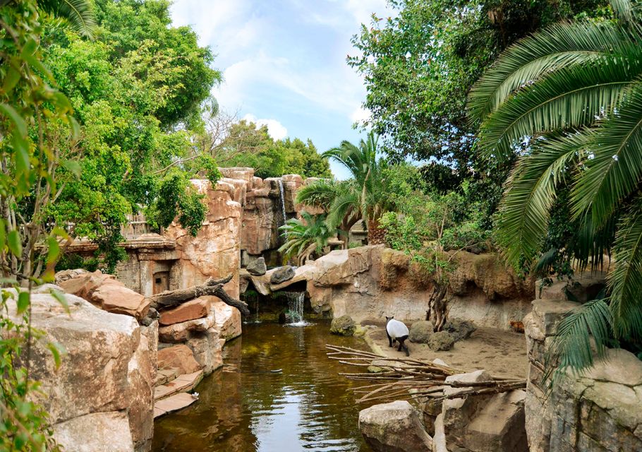 Fuengirola: Bioparc Entrance Ticket - Ticket Information & Pricing