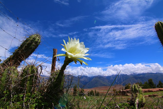 Full-Day Archaeological and Hiking Tour of the Sacred Valley From Cusco, Peru - Itinerary Details