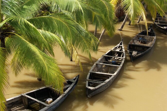 Full Day Authentic Mekong Delta Life in Ben Tre - Overview of the Mekong Delta Experience