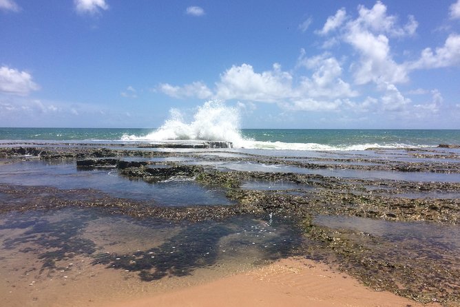Full-Day Beach Hopping Tour From Salvador to Praia Do Forte