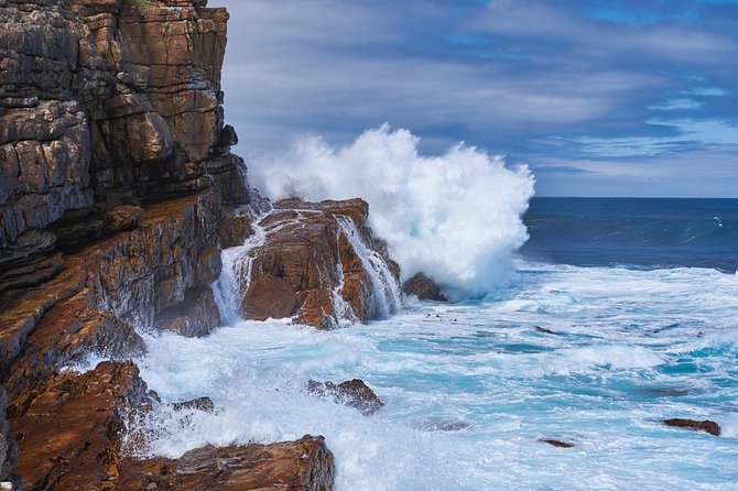 Full Day Cape Peninsula Tour in Private Car