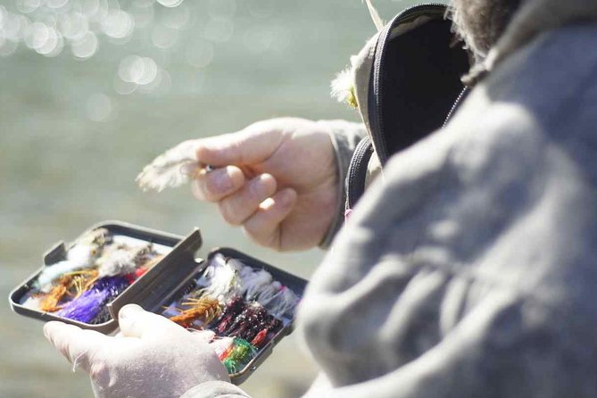 4 Best Fishing Tours In Pemberton
