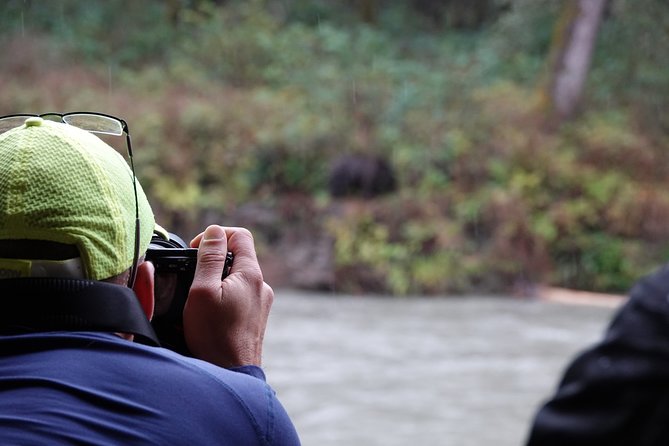 Full Day Grizzly Bear Tour to Toba Inlet - Tour Highlights