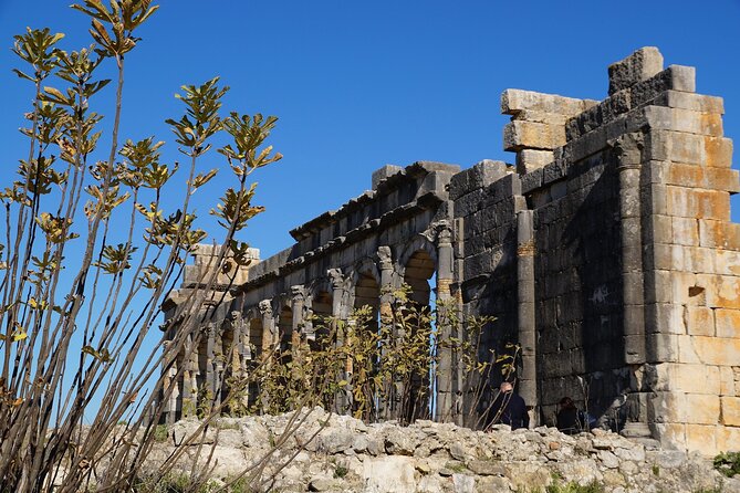 Full-day Historical Meknes Volubilis and Moulay Idriss Tour - Tour Overview