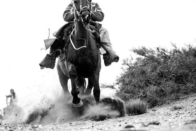 Full Day Horseback Riding - Overview of the Experience
